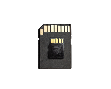 SD memory card with microSD card on white background.