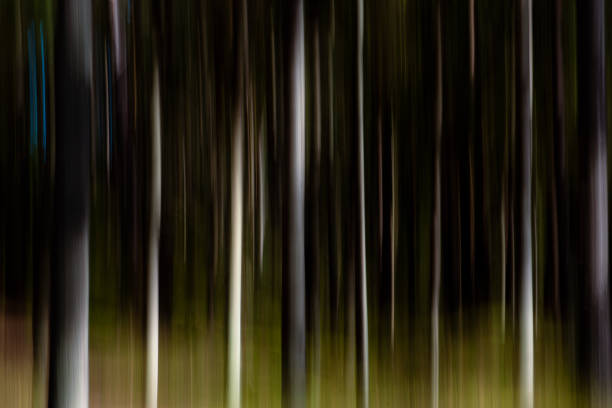 istock Atmospheric mystic abstract forest. Intentional blur, special effect, achieved by moving camera during long time exposure. 1415930860