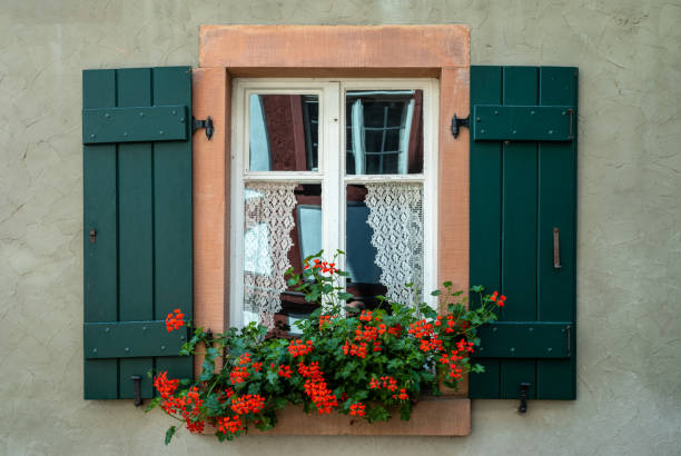 istock Germany, historical places along the river Main 1415931181