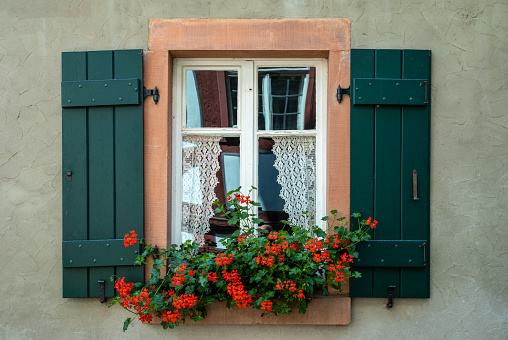 Panoramic view of windows with red dormers and Spring Flowers