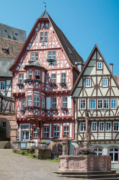 istock Germany, historical places along the river Main 1415931195