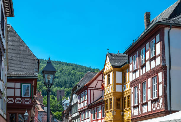 istock Germany, historical places along the river Main 1415931270