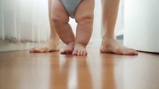 Parent teaching little baby learning to walk on wooden floor at home. Toddler enjoying the first steps with family. Chubby legs, Close up