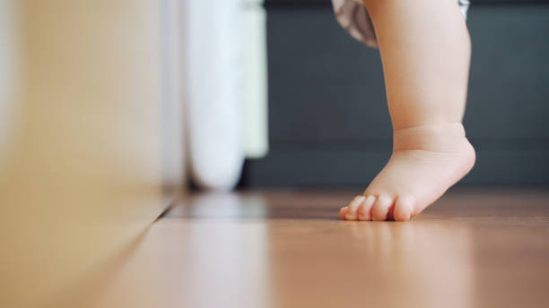 Little toddler learning to stand Little toddler learning to stand on the wooden floor, Baby feet. tiptoe stock pictures, royalty-free photos & images