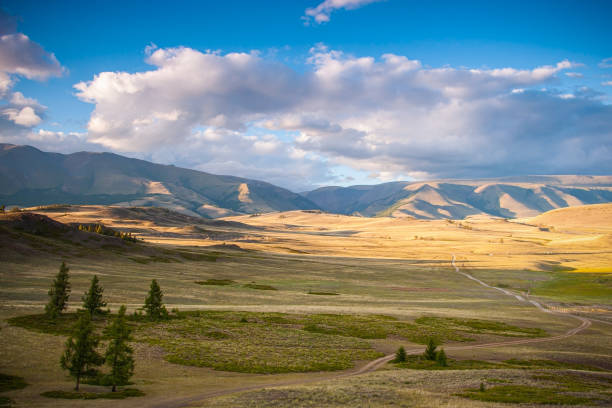 istock Steppe against the backdrop of mountains 1415936004