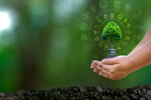 istock Renewable energy concept Earth Day or environment protection Hands protect forests that grow on the ground and help save the world. 1415937264
