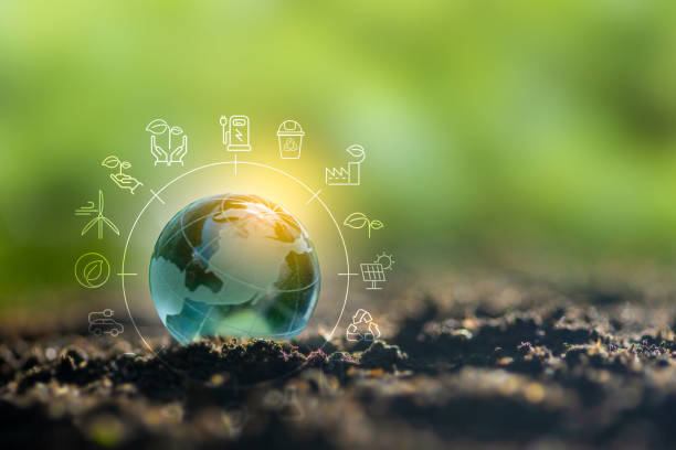 istock Renewable energy concept Earth Day or environment protection Hands protect forests that grow on the ground and help save the world. 1415937265