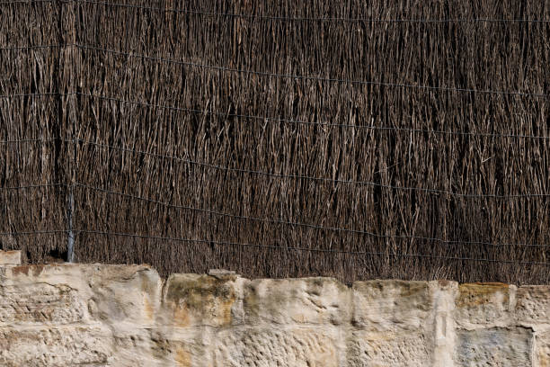 Thatched Wallpaper Pictures | Download Free Images on Unsplash