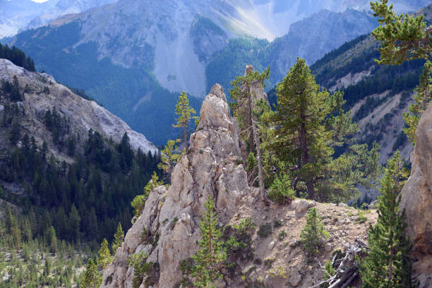 Aerial view of mountain and meadow in high alpine