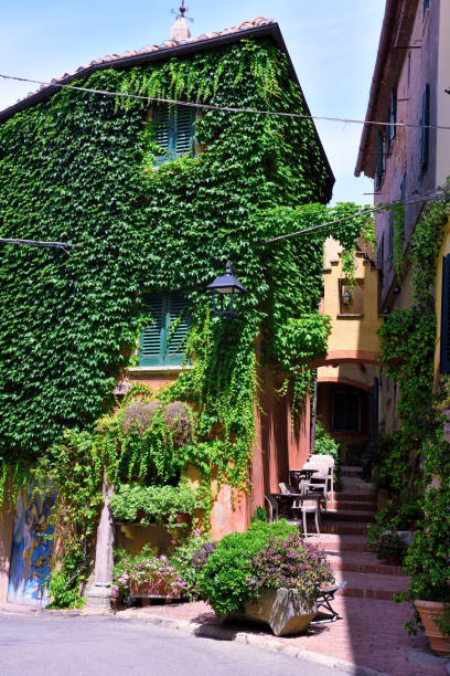 istock Lajatico tuscany Italy 1415948982