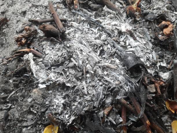 istock ashes from burning wood and leaves 1415950646