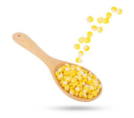 Sweet corn seeds in wooden spoon falling in the air isolated on white background.