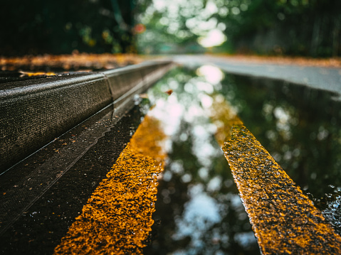 Low angle color image depicting double yellow lines on a rain-slickened road receding into the distance. The first golden leaves of autumn have begin to fall and they are strewn on the road and in the puddles. Selective focus on the yellow lines in the foreground, with the road and trees in the distance totally defocused.