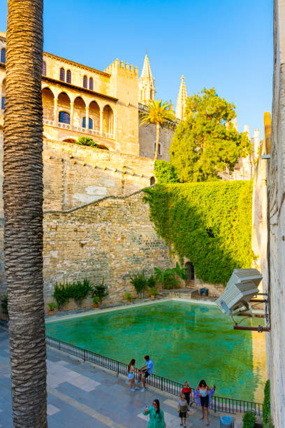 Pond and Almudaina Palace Palma, Balearic Islands, Spain. July 17, 2022 - Pond in the garden of the Almudaina Royal Palace, from the 14th century. In the background the towers of the cathedral el alcazar palace seville stock pictures, royalty-free photos & images