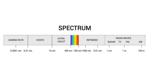 Vector illustration of Spectrum wavelength. Visible spectrum color range. Educational physics light line. Invisible parts of the spectrum of white light, infrared and electromagnetic