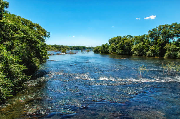 istock river in Iguacu National Park, Argentina 1415959501
