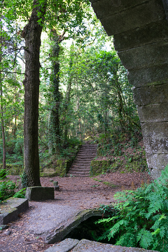 View of the aqueduct located in the Enchanted Forest of Aldan. Cangas - Galicia - Spain