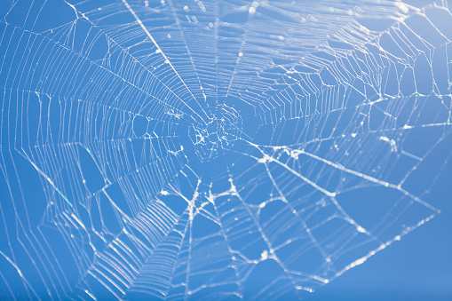 Complex web without a spider against a clear blue sky