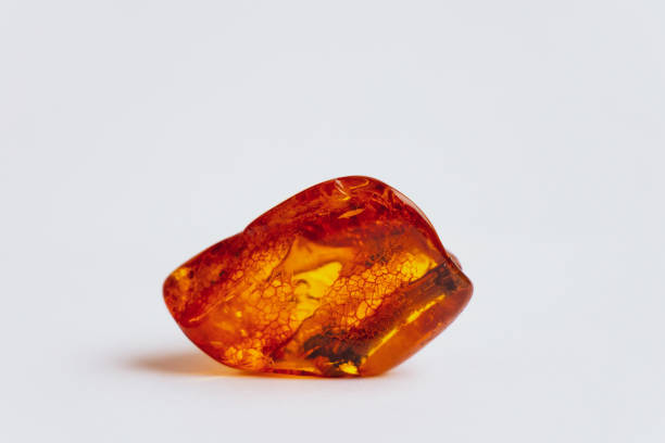 large natural amber on a white background close-up stock photo