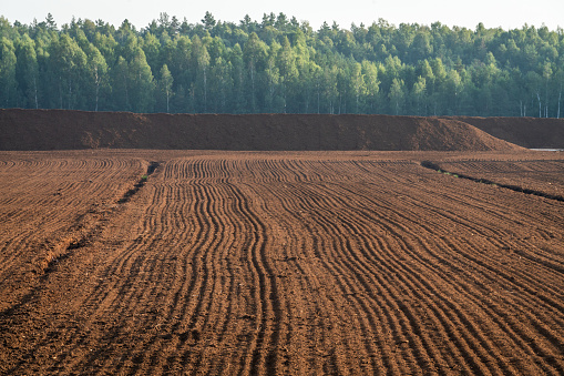 Landscape on peatlands where being development of the peat on sunrise background