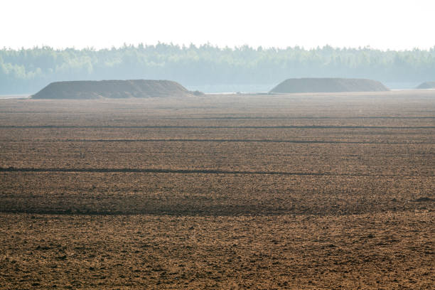 Landscape on peatlands where being development of the peat on sunrise background