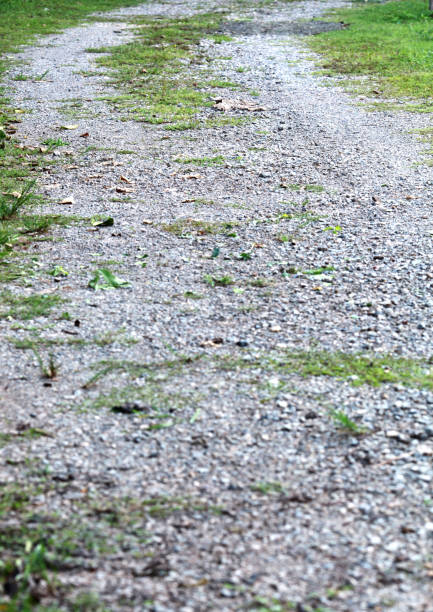 a lot of stone in local road with green grass