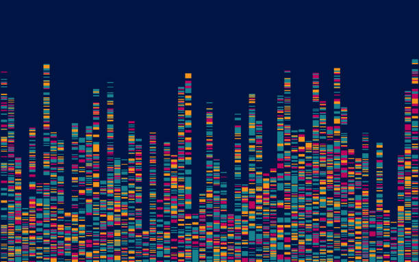 Dna test infographic. Genome sequence map. Dna test infographic. Genome sequence map. chromosome science genetic research biotechnology stock illustrations