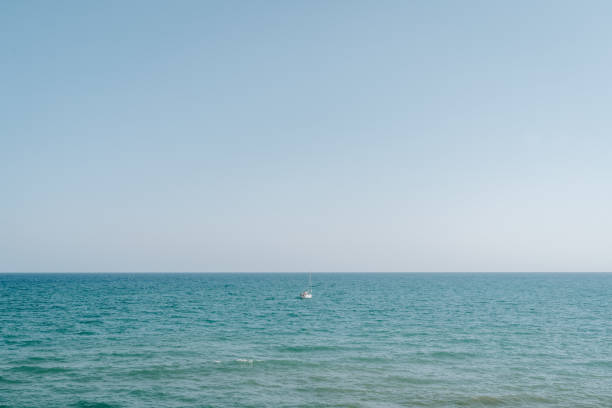 Open Water Swimming Pictures | Download Free Images on Unsplash