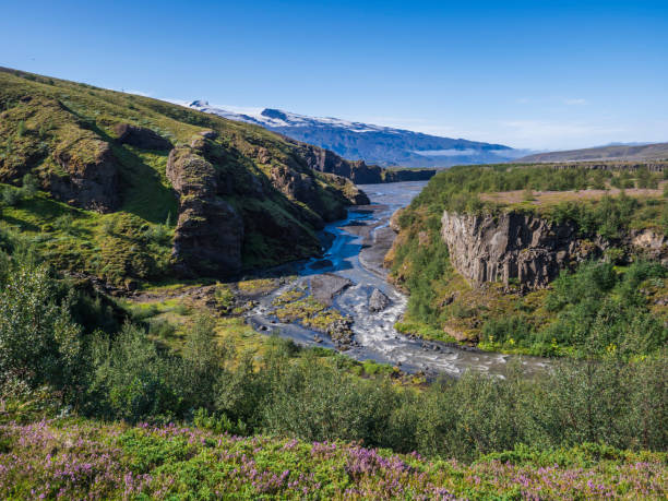 исландский пейзаж с голубым каньоном реки маркарфлйот, розовыми цветами, березовым кустарником, зелеными холмами и ледником вулкана эйяфь� - tongue mountain стоковые фото и изображения