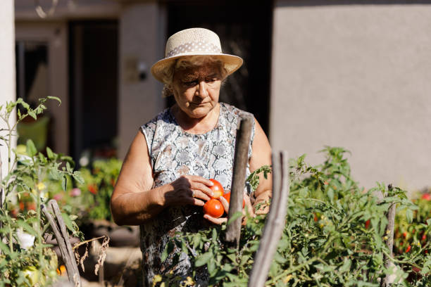 istock Old woman in the garden in her backyard 1415976949