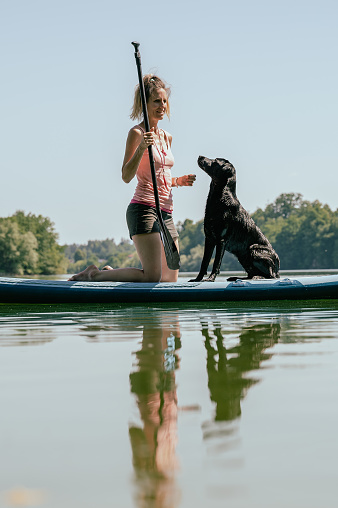 Young female dog owner and her black labrador retriever on a sup board on the river.