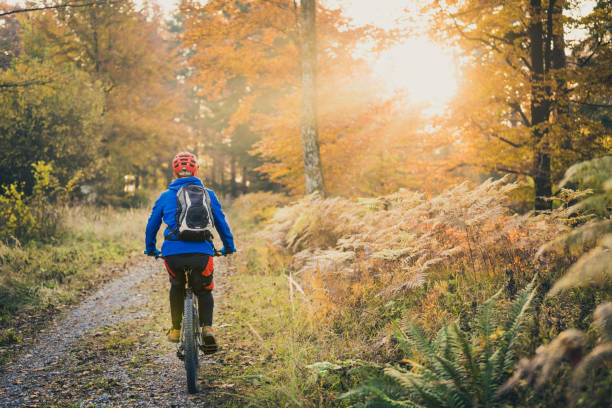 istock Biker enjoying beautiful natural scene at golden hour 1415985263