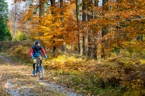 Young adult black man in sportswear roaming countryside on bicycle. Adventure trip in colourful autumn forest, active lifestyle concept.