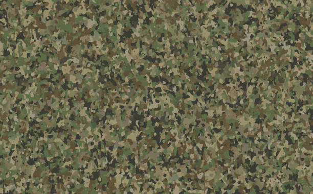 ilustraciones, imágenes clip art, dibujos animados e iconos de stock de textura camuflaje militar, caza verde ejército - camuflaje