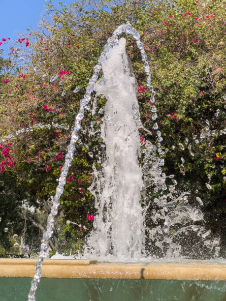 istock Fountain on urban campus of a state university in summer 1415987283