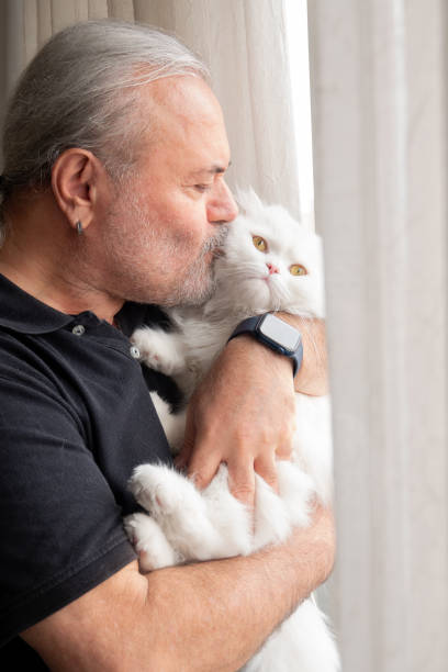 istock Active Senior man kissing his beautiful kitten 1415989814