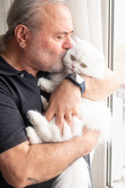 istock Active Senior man kissing his beautiful kitten 1415991566