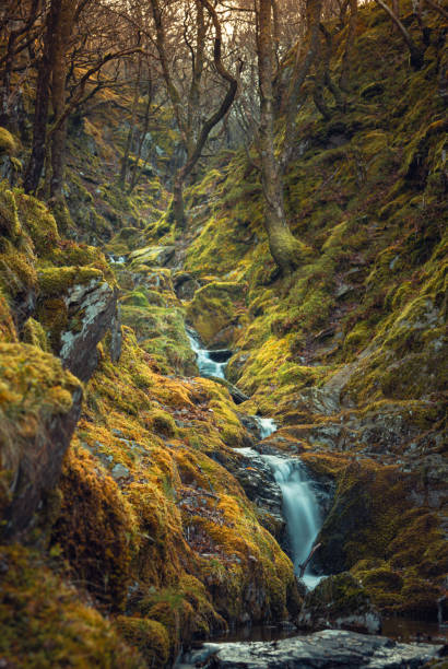 kleiner bach und wasserfall in wales - brecon beacons nationalpark stock-fotos und bilder