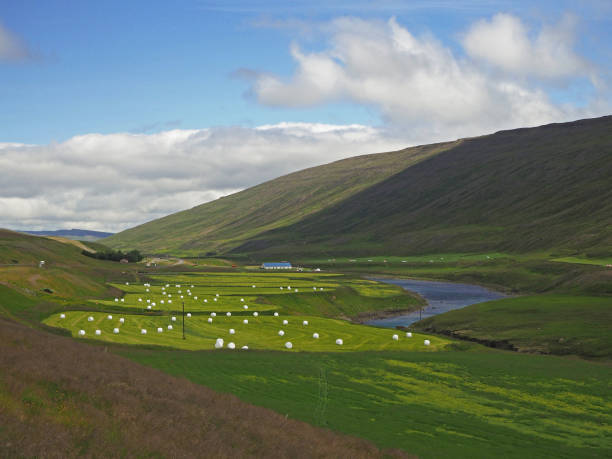 fertile river valley with lush grass, straw bale and farm and blue sky
