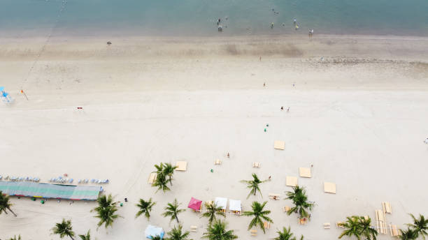 istock White sandy beach park with folding chairs, picnic tables, wedding decorations and palm trees near Tuan Chau Island, Ha Long City, Quang Ninh 1416009691