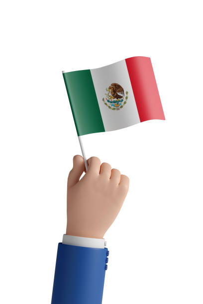 Cartoon hand with the flag of Mexico isolated on white background. 3d illustration. Cartoon hand with the flag of Mexico isolated on white background. 3d illustration. XVI stock pictures, royalty-free photos & images