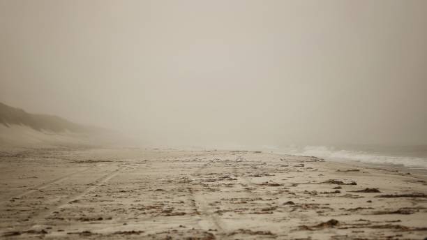 istock Staoinebrig Beach Mist 1416016666