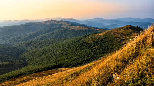 istock Bukowska mountain meadow, Bieszczady National Park, Poland. 1416018228