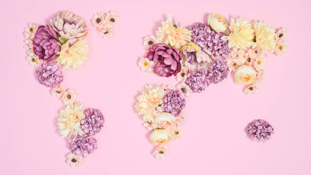 istock Creative Earth map on pastel pink background made with fresh natural flowers. Flat lay 1416020076