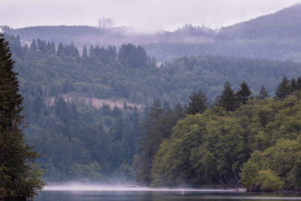 Foggy rolls over the Mayfield Lake at Ike Kinswa park at dawn