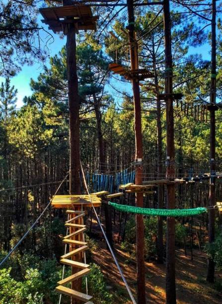 istock Climbing park, tree adventure playground, no people. 1416023778