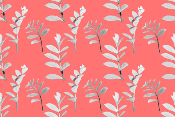 シームレスな柄香りのトレンディな淡いピンクのアスター - collage digital composite textured nature ストックフォトと画像