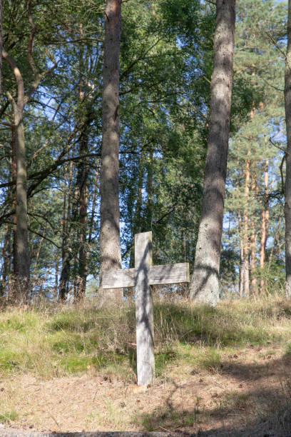 istock The Danish Freekorps Denmark Memorial 1416029443