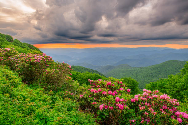 istock The Craggies in the Blue Ridge Mountains 1416029498