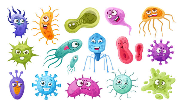 Ilustración de Bacterias De Dibujos Animados Microbios Y Virus Gérmenes  Mascotas Microorganismos Lindos Bacterias Con Emociones Faciales Plano  Vector Símbolos Ilustración Conjunto Bacterias Y Virus Divertidos y más  Vectores Libres de Derechos